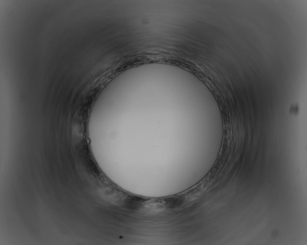 X0000090410606200707130927