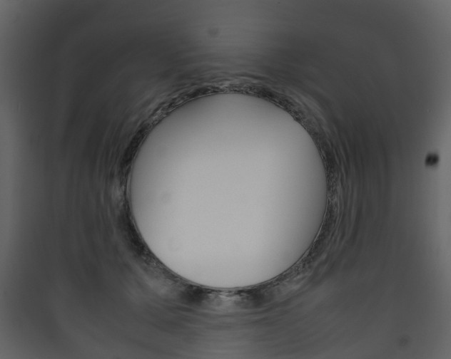 X0000090410607200707130927