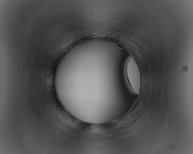 X0000090410608200707130927