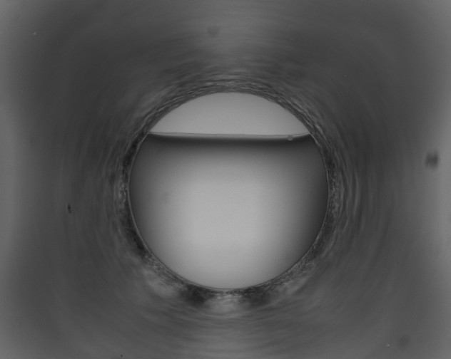 X0000090410609200707130927