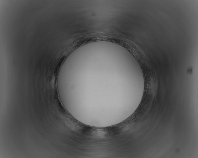 X0000090410610200707130927