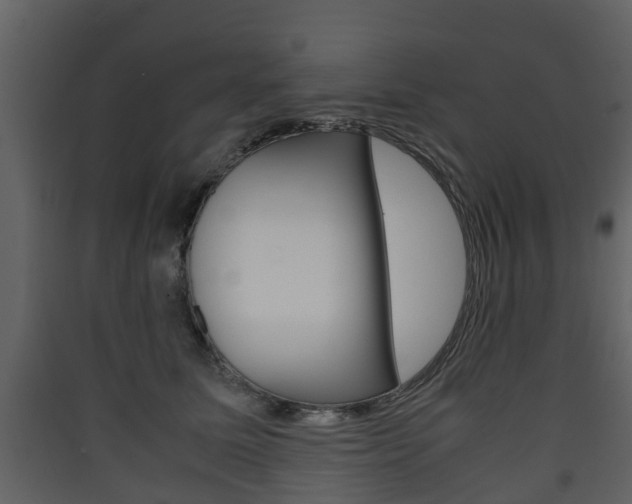 X0000090410611200707130927