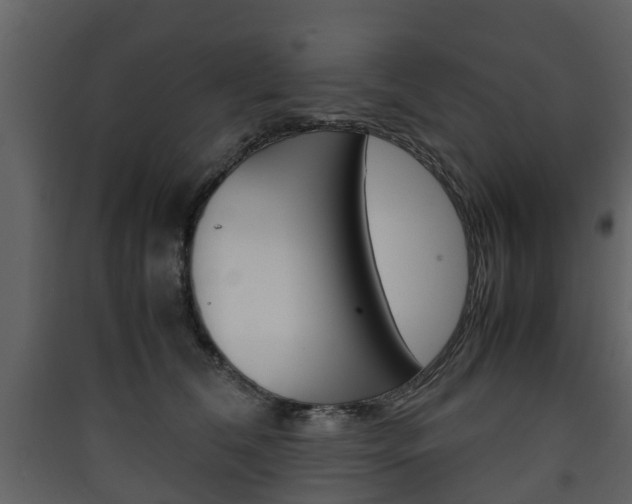 X0000090410612200707130927
