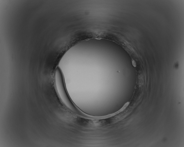 X0000090410613200707130927