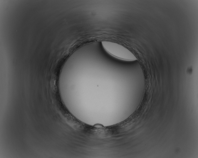 X0000090410615200707130927