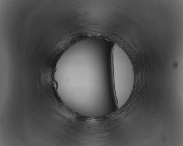 X0000090410616200707130927