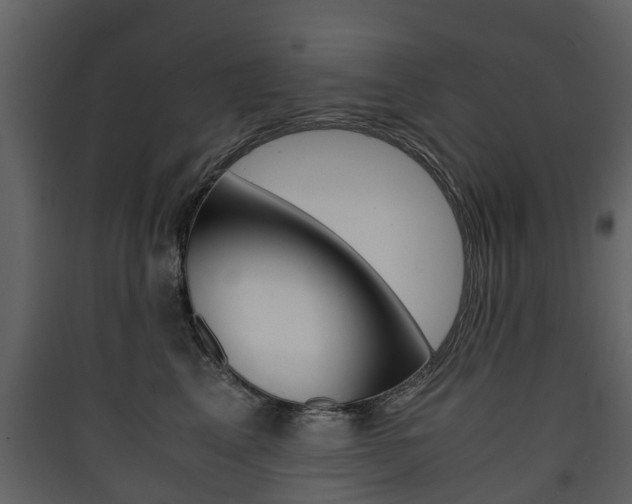 X0000090410617200707130927