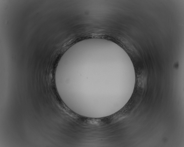 X0000090410618200707130927