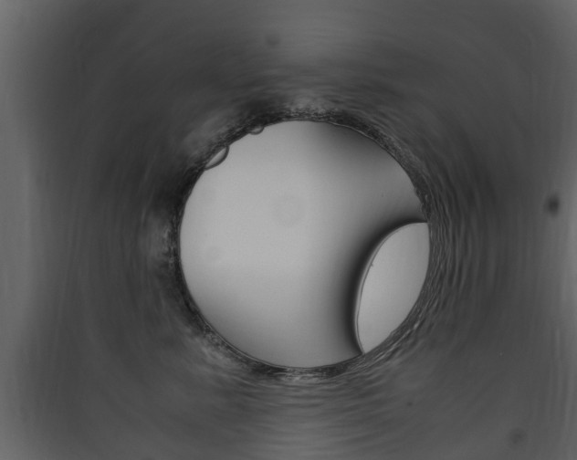 X0000090410619200707130927
