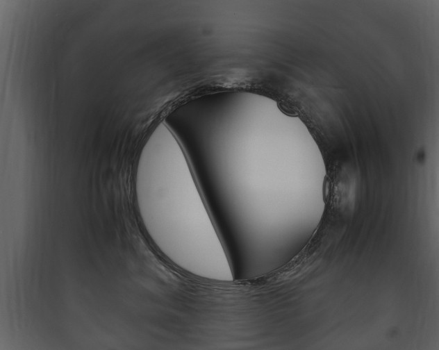 X0000090410620200707130927