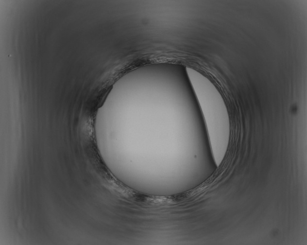 X0000090410621200707130927