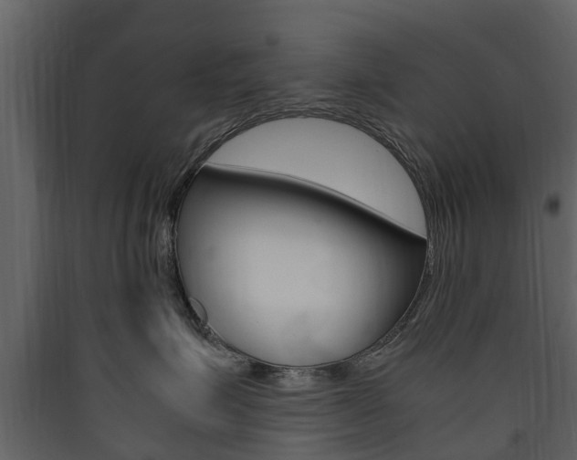 X0000090410623200707130926