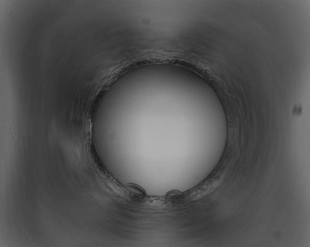 X0000090410624200707130926