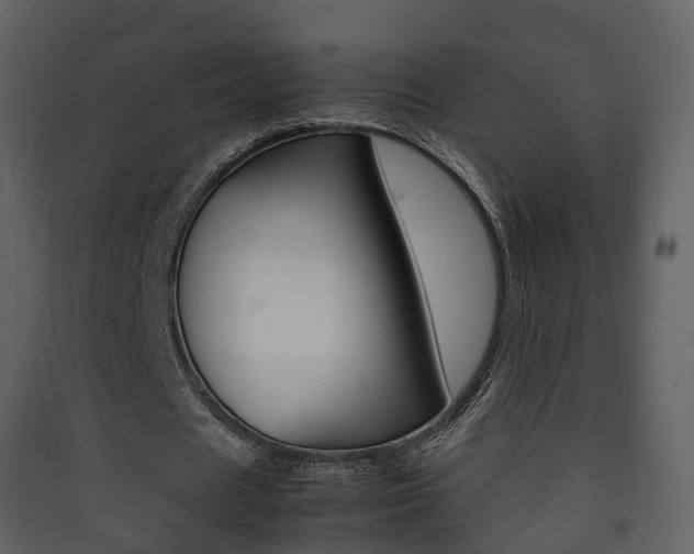 X0000090410625200707130926