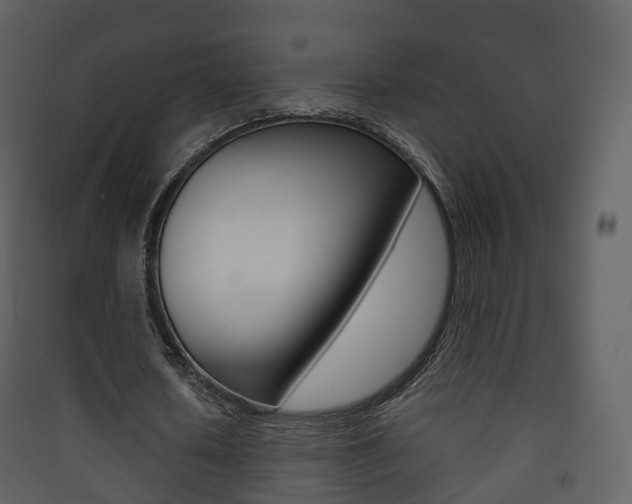 X0000090410626200707130926