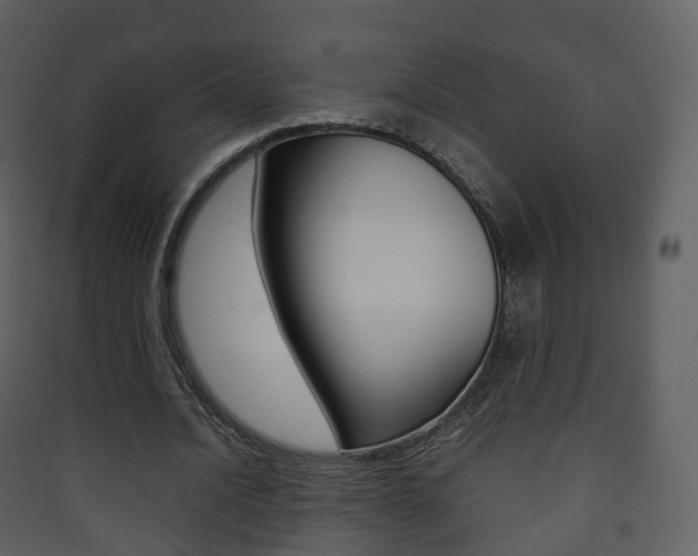 X0000090410628200707130926