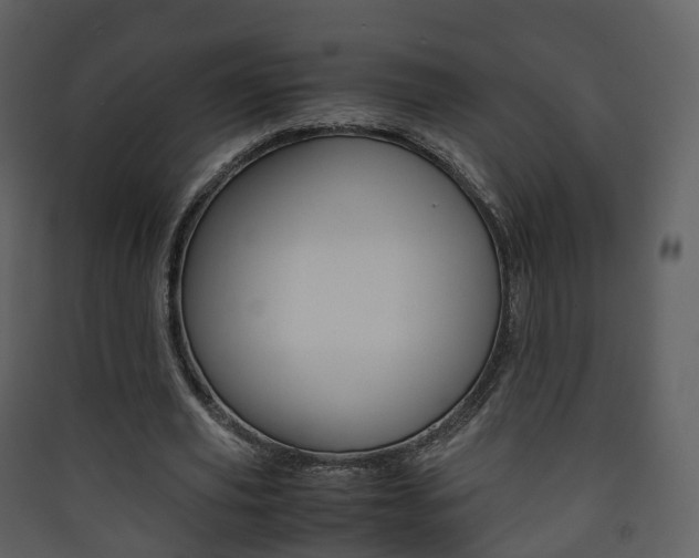 X0000090410629200707130926