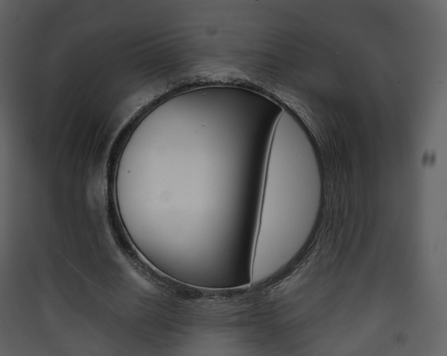 X0000090410630200707130926