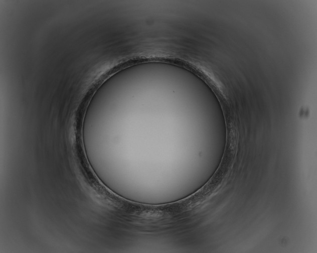 X0000090410631200707130926