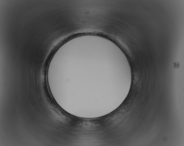 X0000090410632200707130926