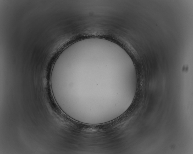 X0000090410635200707130926