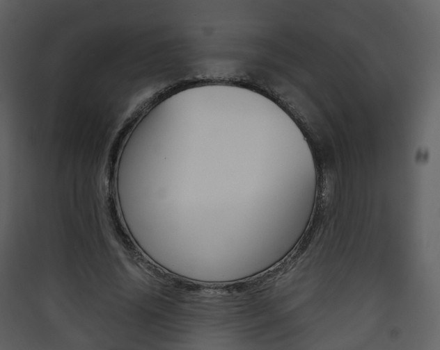 X0000090410636200707130926
