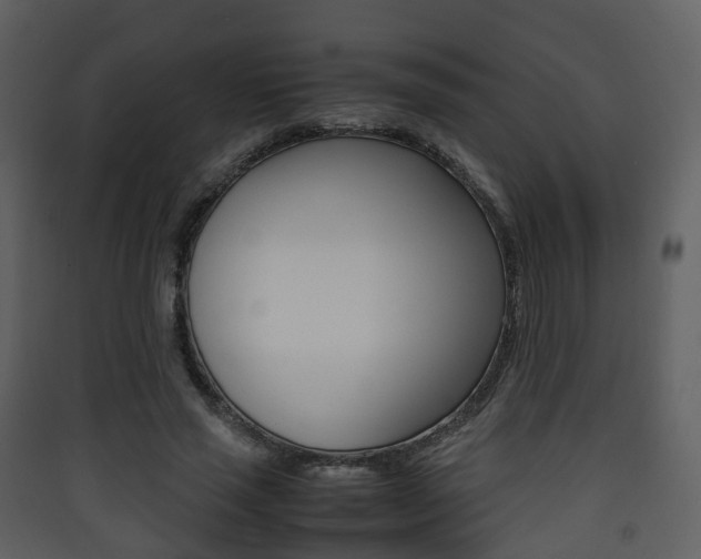 X0000090410637200707130926