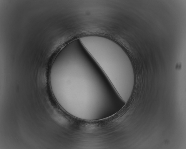 X0000090410638200707130926
