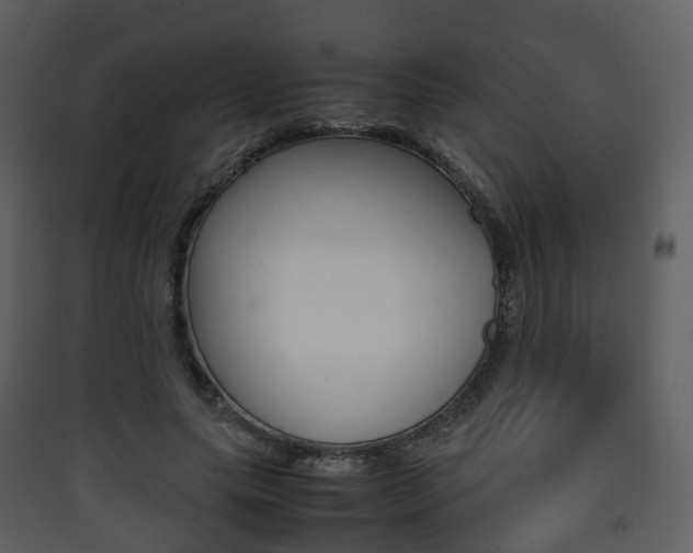 X0000090410639200707130926