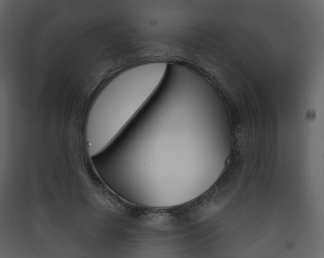 X0000090410642200707130926