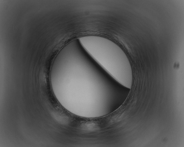 X0000090410643200707130926