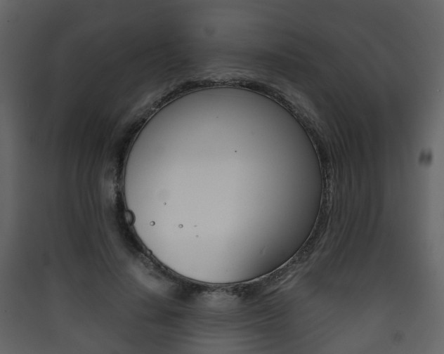 X0000090410644200707130926