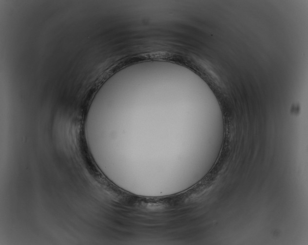 X0000090410645200707130926