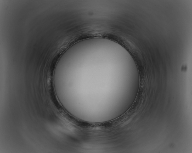X0000090410646200707130926