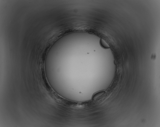 X0000090410647200707130926