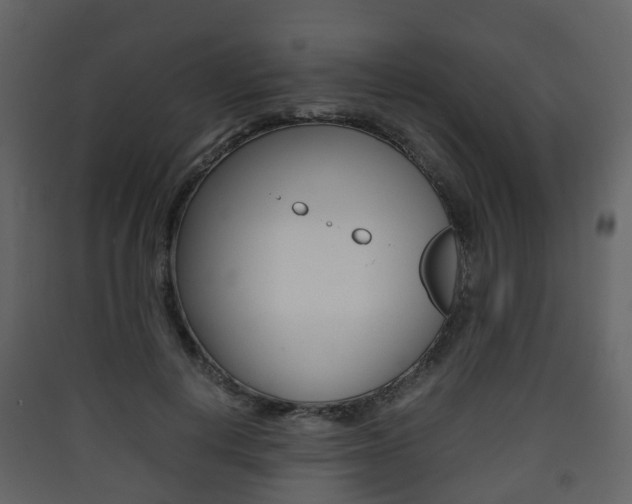 X0000090410648200707130926