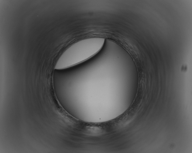 X0000090410649200707130926