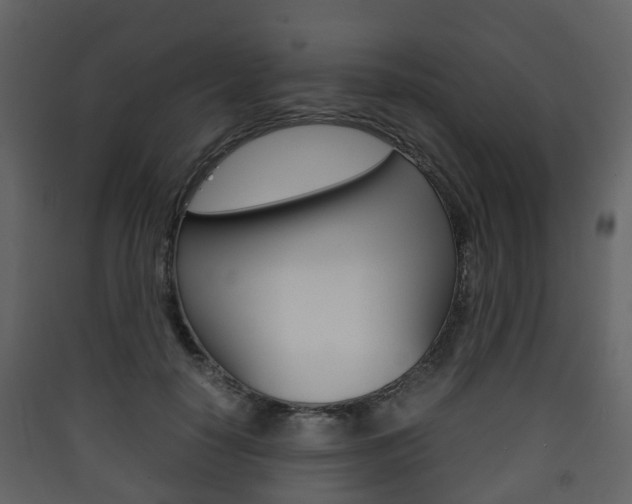 X0000090410650200707130926