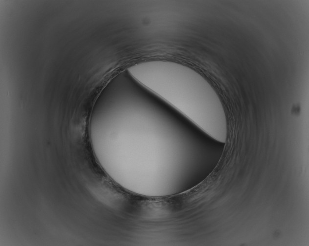 X0000090410652200707130926