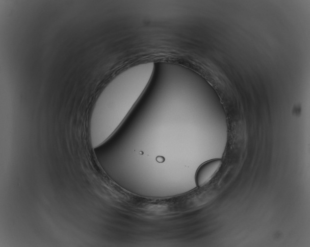 X0000090410653200707130926