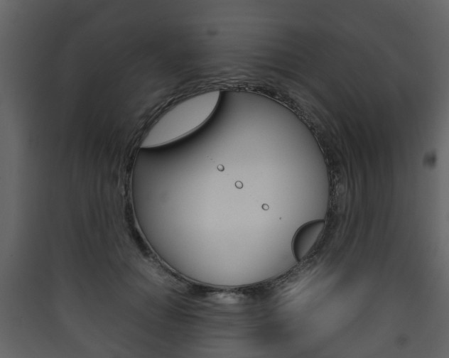 X0000090410654200707130926