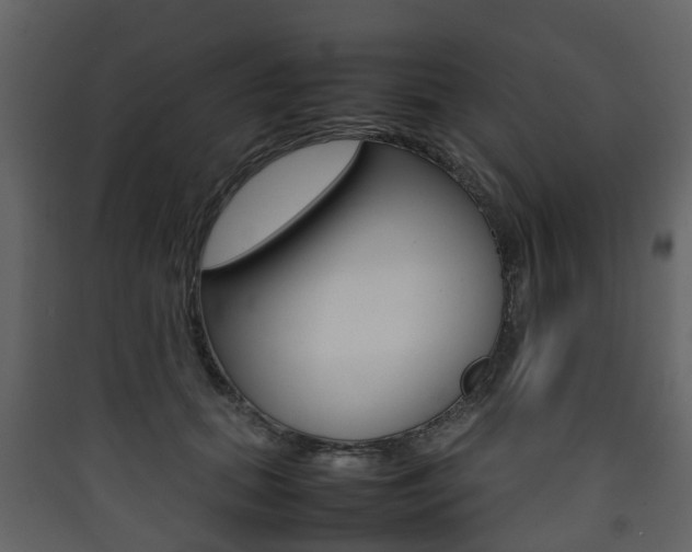 X0000090410655200707130926