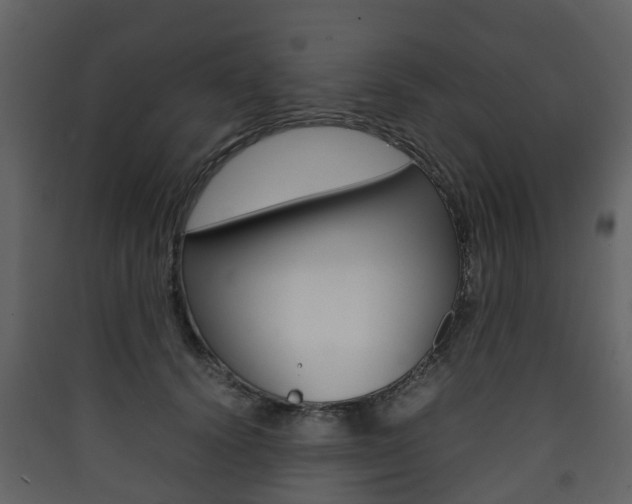 X0000090410656200707130926
