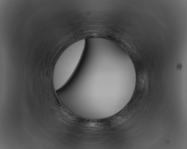 X0000090410657200707130926