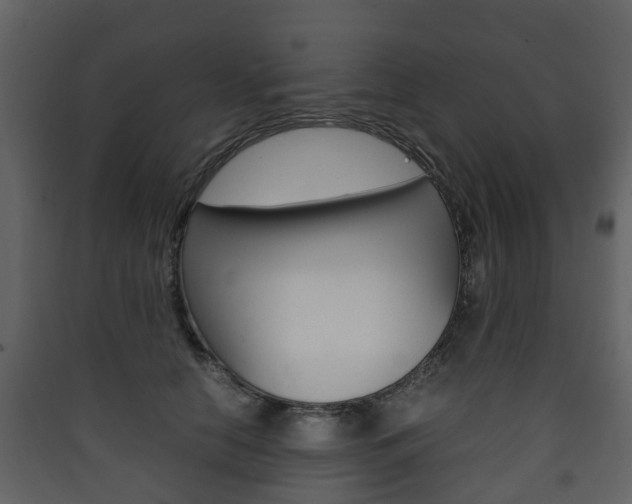 X0000090410658200707130926