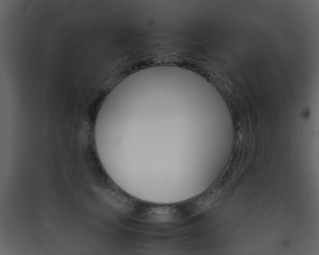 X0000090410659200707130926