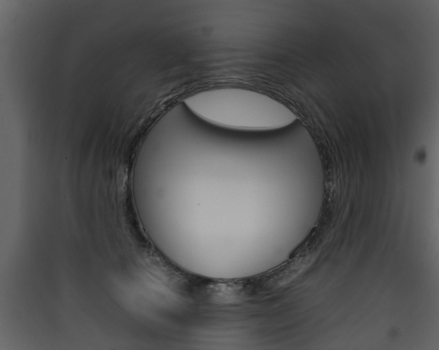 X0000090410660200707130926