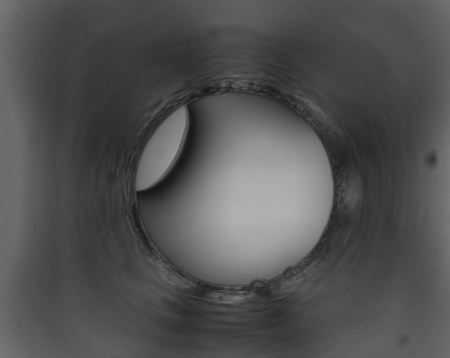 X0000090410661200707130926
