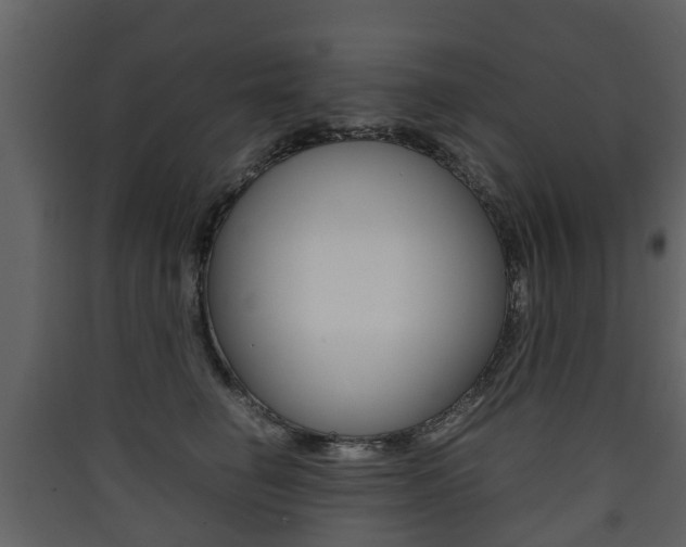 X0000090410662200707130926