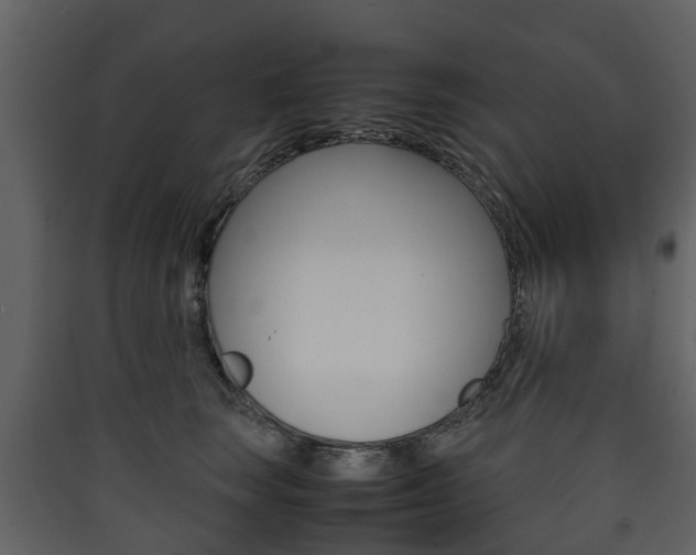 X0000090410663200707130926